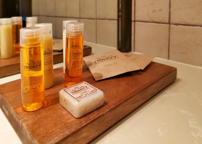 فندق Trinity With Free Shuttle To Gondola 4*